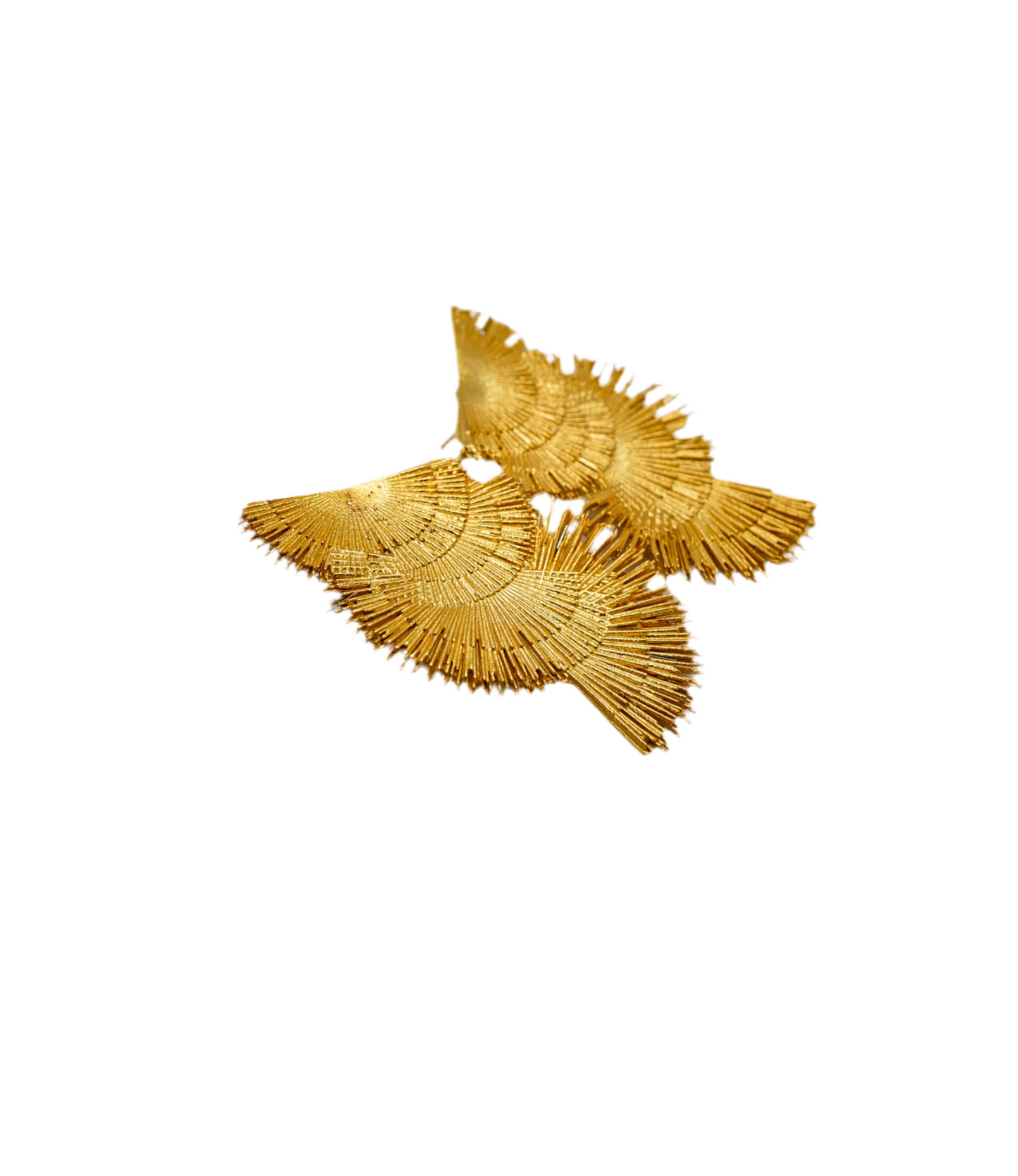 “WINGS”